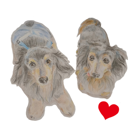 3750784e 04a3 433c bd1d 2f1beb5dd6b4 s