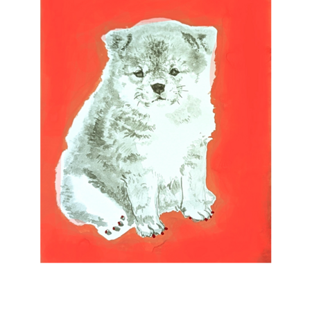 F0bb990c e924 4978 9026 a6d96dede61b s