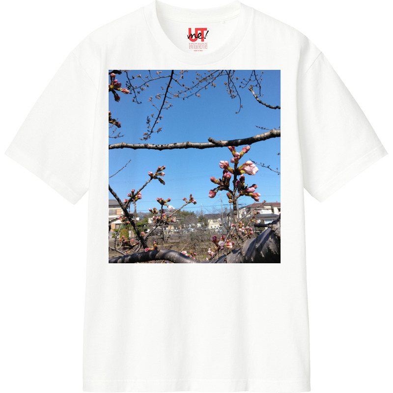 2f46b496 89ea 41b5 9a97 b52472be3ea1 110 print ll