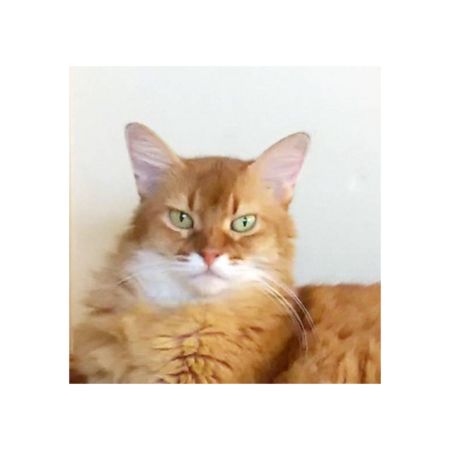 872d9a93 07f4 4e7c 9074 41575792e5e0 s