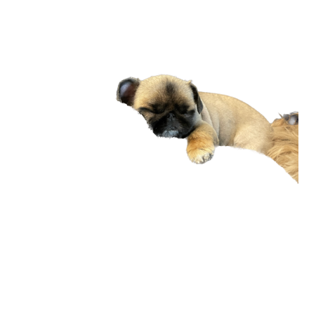 666f619e 4214 4f79 b5e0 d7d1062978a5 s