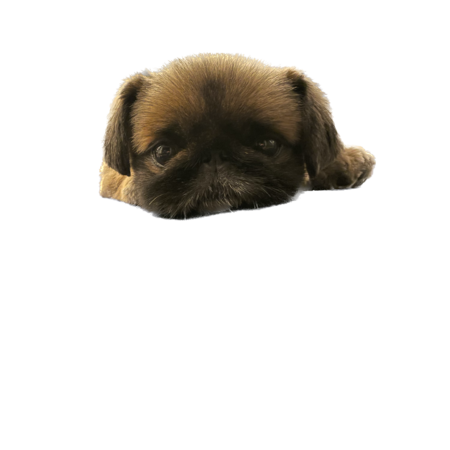 4a1863ca e896 45da 8218 b4ada10528fa s