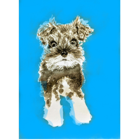 Aaf29ea5 ae11 4e78 85bd 7fd124c55255 s