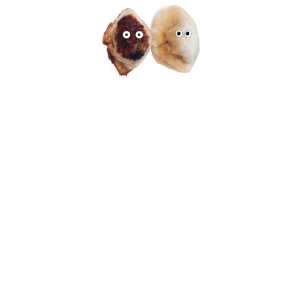 Afdddf67 feac 41be a5f0 c106626db77f s