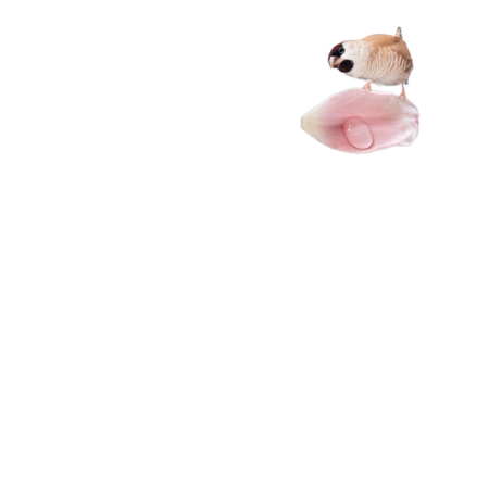 449946f9 9a0b 4eff 9174 147fc423730e s