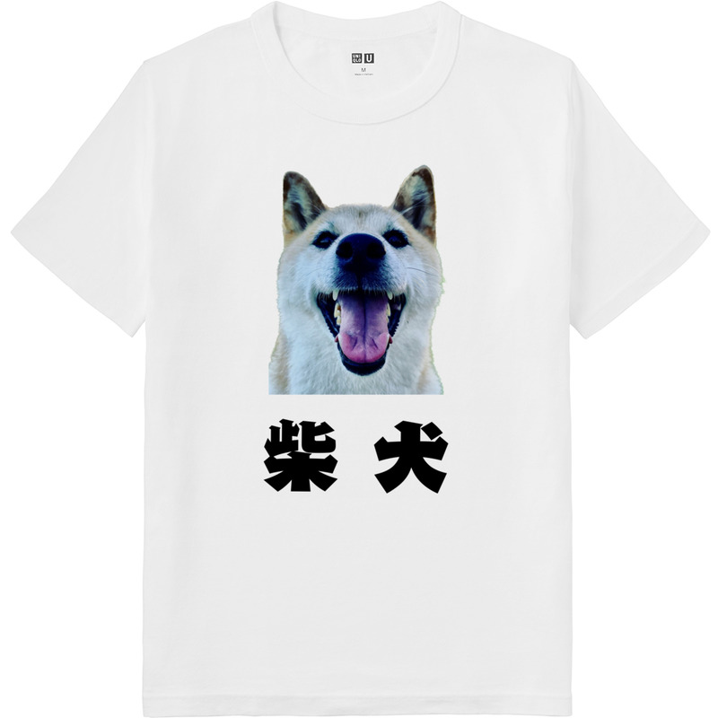 Ff869ca4 97cc 4d93 beed b35cbc18ce4d 64 print ll