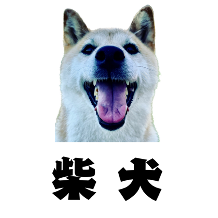 Ff869ca4 97cc 4d93 beed b35cbc18ce4d s