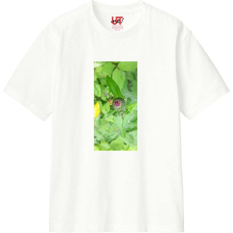 C9075f65 b167 4a2c 8a62 feb73969e36f 110 print ll