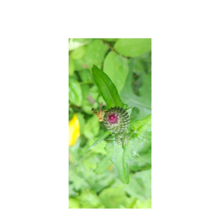 C9075f65 b167 4a2c 8a62 feb73969e36f s