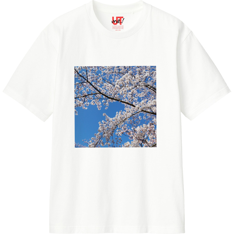 200ebedd 1dd8 40a8 9ff2 fe52964cc2ca 110 print ll