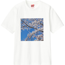 200ebedd 1dd8 40a8 9ff2 fe52964cc2ca 110 print s