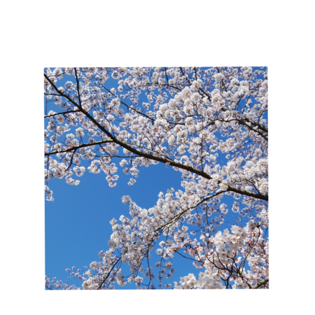 200ebedd 1dd8 40a8 9ff2 fe52964cc2ca s