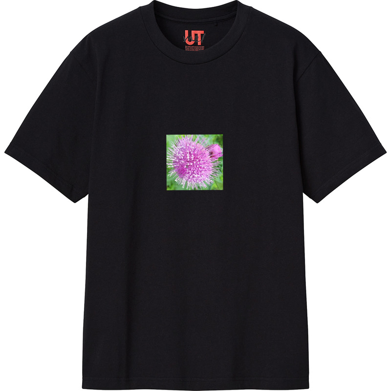 48eb970e fe63 4954 9360 c3a7ef5ac762 111 print ll