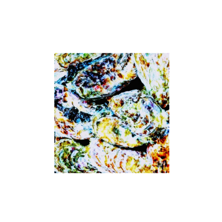 119c63ad 3128 4ff1 b727 b2cf4830fd05 s