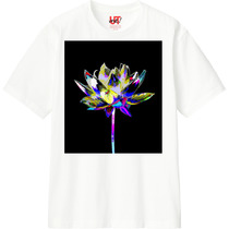 6ed7fbd7 4172 4c13 8130 b2f0bdf2ff8a 110 print s