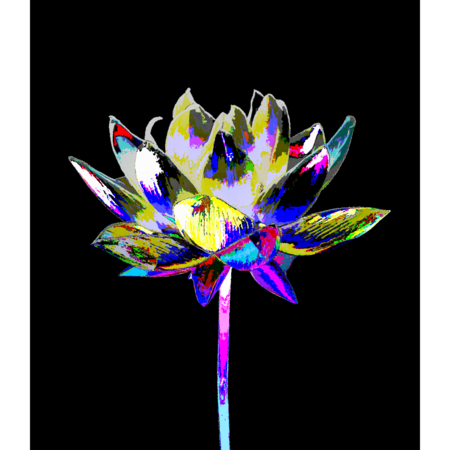 6ed7fbd7 4172 4c13 8130 b2f0bdf2ff8a s