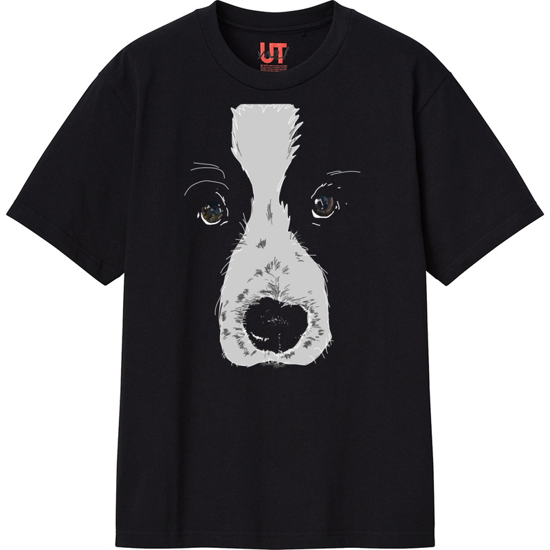 B0773f53 584d 4bb8 9fce be31b89fd1c2 111 print ll