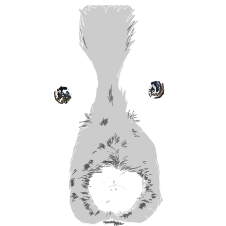 B0773f53 584d 4bb8 9fce be31b89fd1c2 s