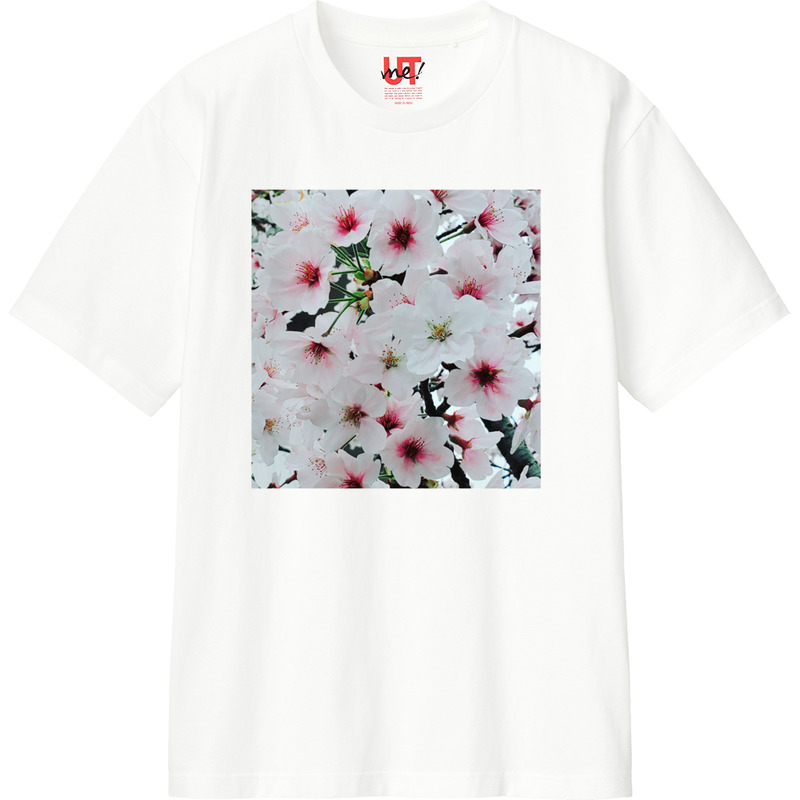 A4dd76a1 c321 4c73 a864 f97561cf9956 110 print ll