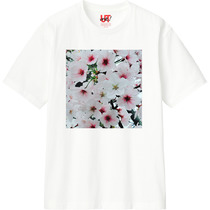 A4dd76a1 c321 4c73 a864 f97561cf9956 110 print s