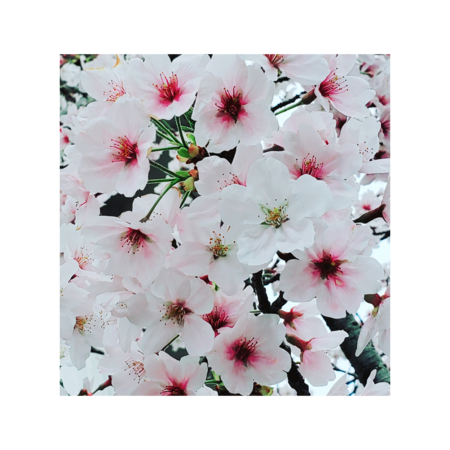 A4dd76a1 c321 4c73 a864 f97561cf9956 s