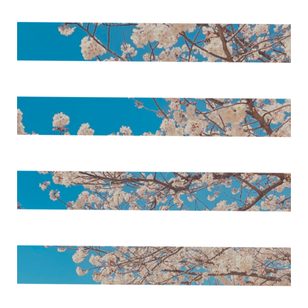 3a5ce50f 3b04 4ef8 97b5 fb617726af3a s