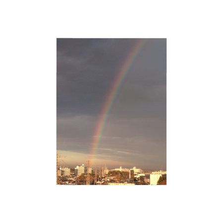 D5d2eed5 2aa1 4759 9046 cb47714d1b65 s