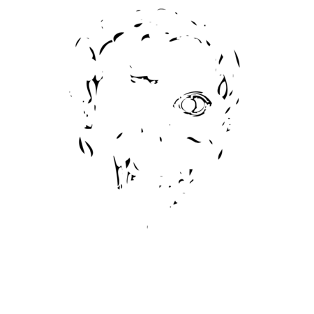 53226300 e599 40b7 9b6c 0e66ea6463fe s