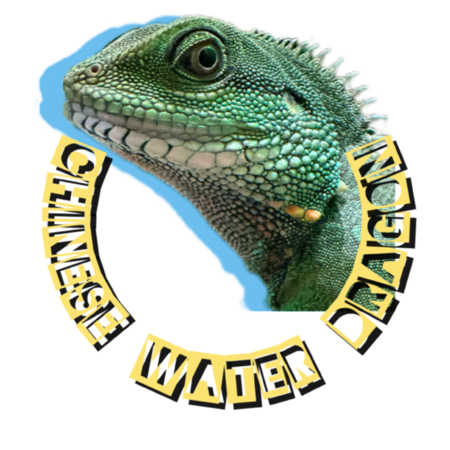 C9b84e58 087b 4039 a3dc 9388b719900e s