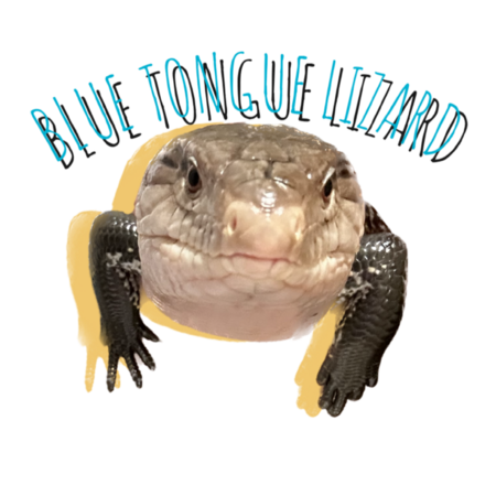 C622e30f e72e 47c5 9007 70c676bd25f0 s