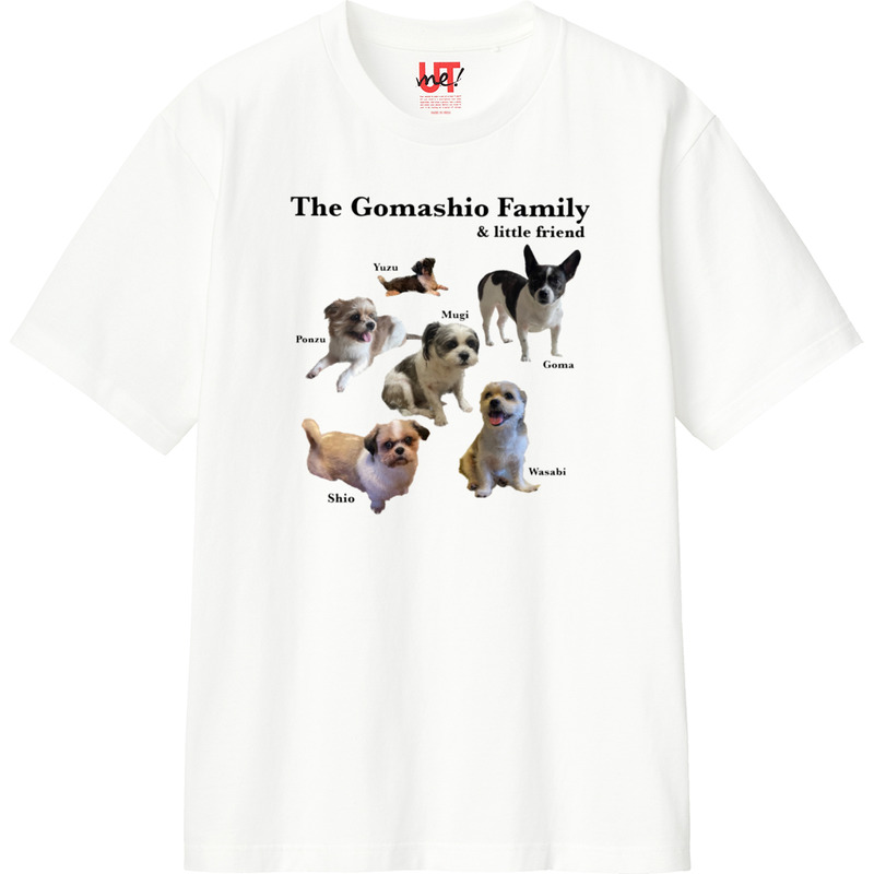 156154d6 188a 4ed5 84ec 84fc2c6859c0 110 print ll