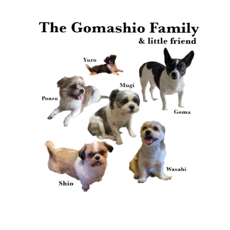 156154d6 188a 4ed5 84ec 84fc2c6859c0 s