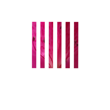 79939560 d947 4096 afd3 c558de3d519d s