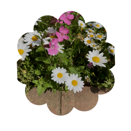 Adf3df6b 0e61 4a62 b618 556e7e75e635 s