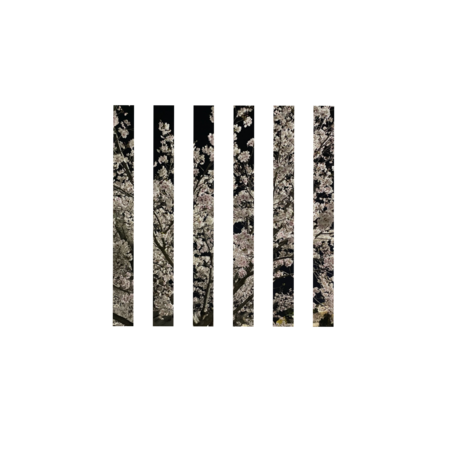 A9dfb133 a1c9 4901 bdc8 2e6ca6f0f39e s