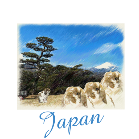 A15ea6e8 81a9 4431 9d72 c871decef2b2 s