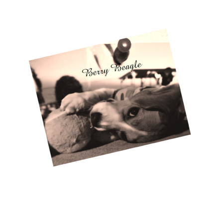 51ef259d 51ba 45b4 9e63 73e3963b3bee s