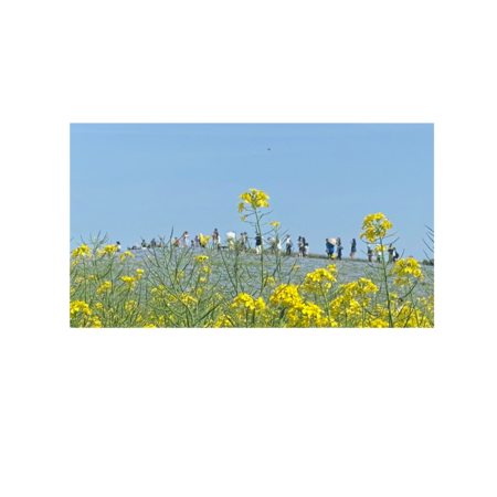 84c098c7 e6a8 4698 94af 6efc55219b90 s