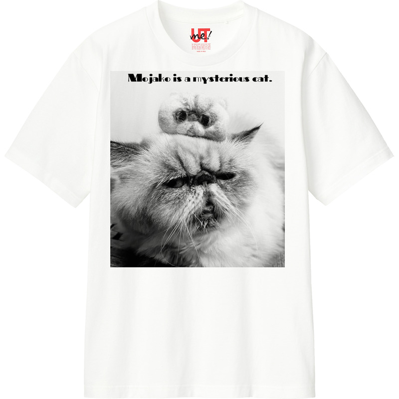 Be280567 275f 443b bbf8 059159231367 110 print ll