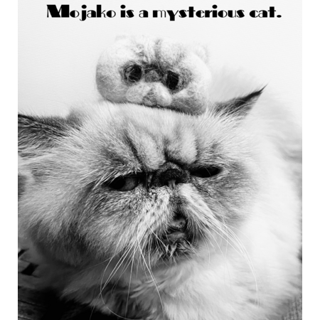 Be280567 275f 443b bbf8 059159231367 s