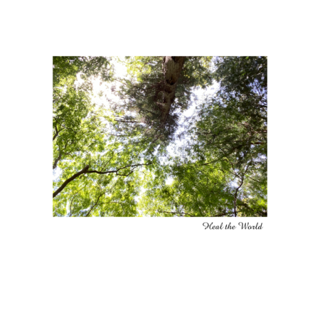 46db848d d5b1 400b b558 05f39fc3b2ce s