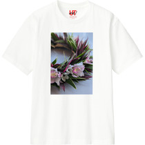 7b9906d9 89c1 410c 85d7 c4ad48ce8f56 110 print s