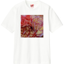 Bdffd290 ec27 4928 9caf 3f733e2bde4b 110 print s