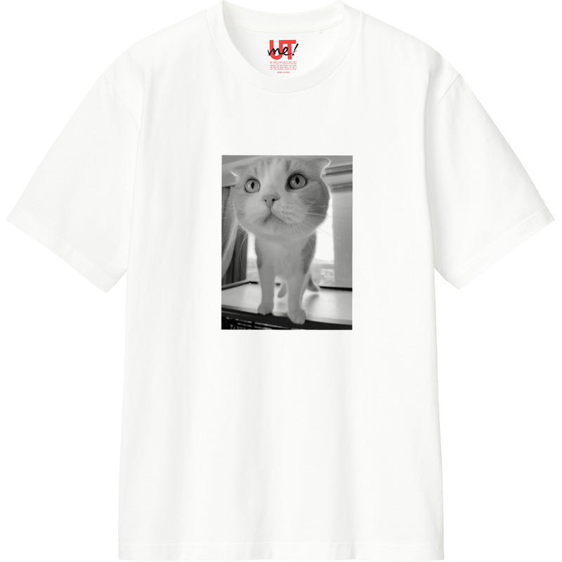 424ab794 62e3 4e44 929b 7f964418fa0e 110 print ll