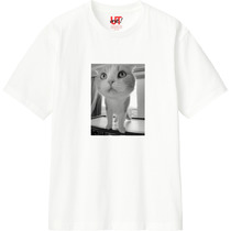 424ab794 62e3 4e44 929b 7f964418fa0e 110 print s