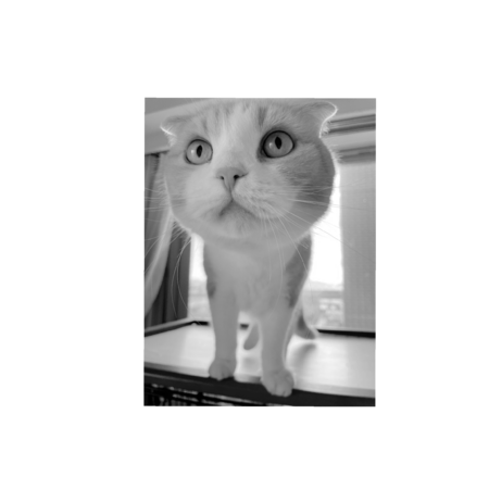 424ab794 62e3 4e44 929b 7f964418fa0e s