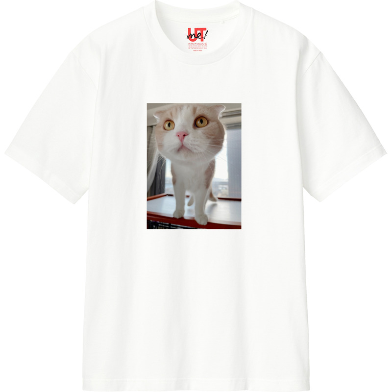 A6aadcf1 c09e 4746 a82a 58bfc72426e1 110 print ll