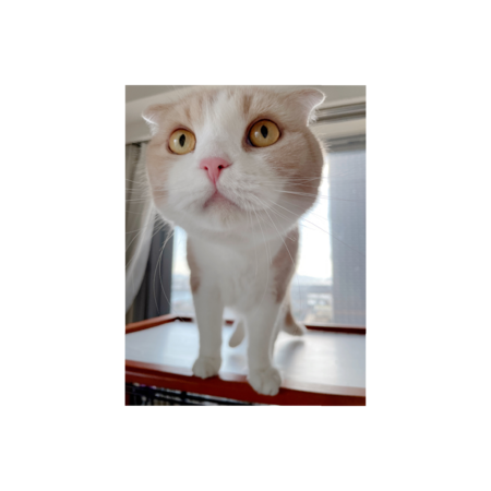 A6aadcf1 c09e 4746 a82a 58bfc72426e1 s