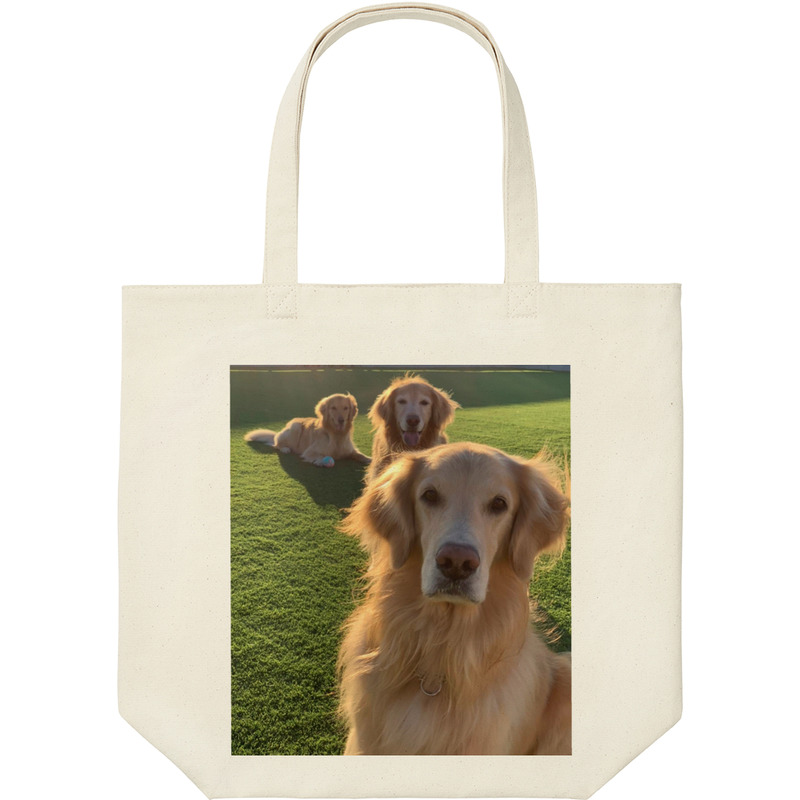 Ab1aa5d9 d350 4d33 93b6 2178014ab450 9 print ll