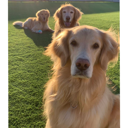 Ab1aa5d9 d350 4d33 93b6 2178014ab450 s